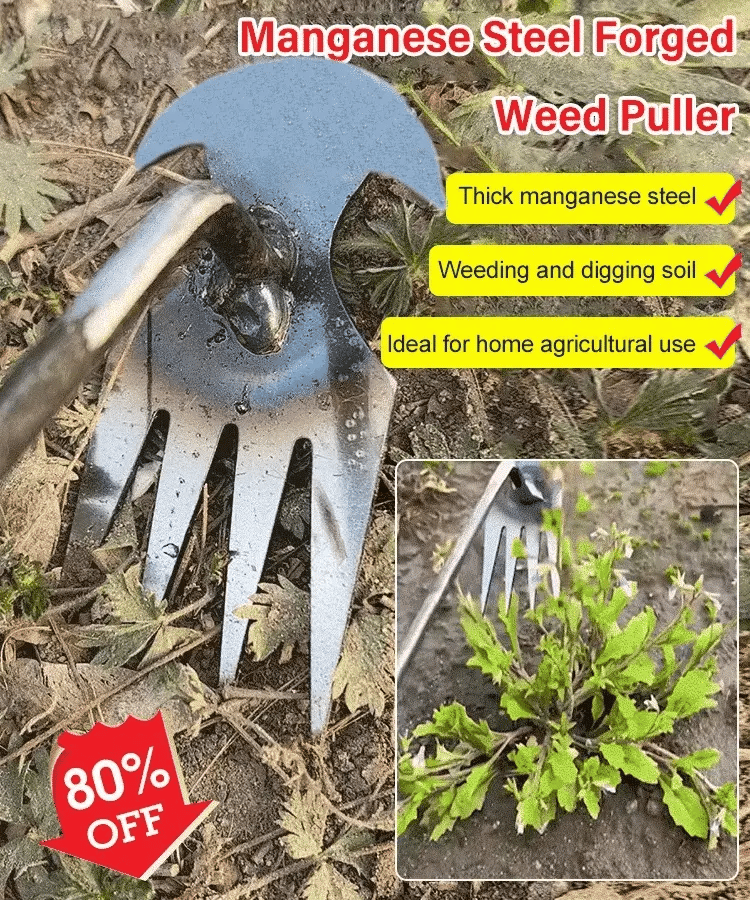 Chandni WeedMaster™ - Your Ultimate Weeding Tool