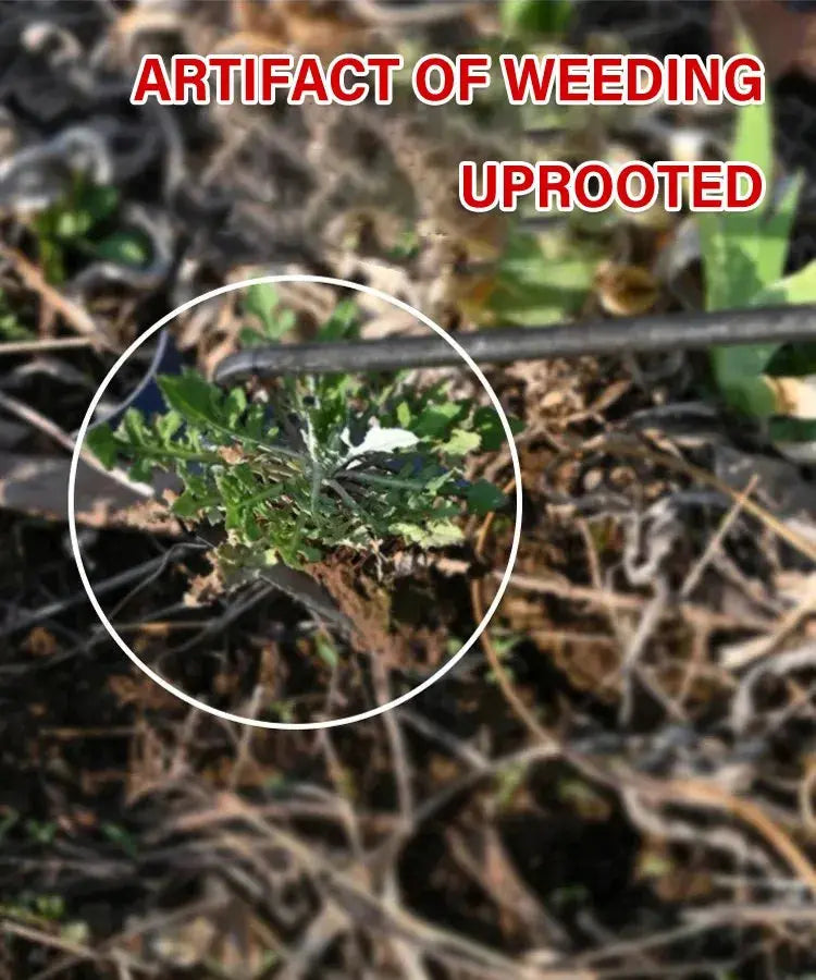 Chandni WeedMaster™ - Your Ultimate Weeding Tool