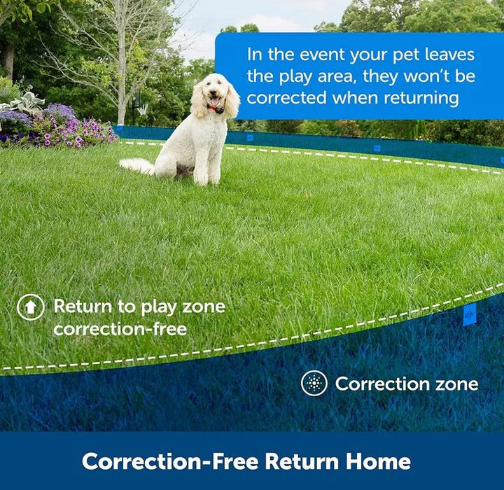 Chandni Wireless Dog Fence Collar System