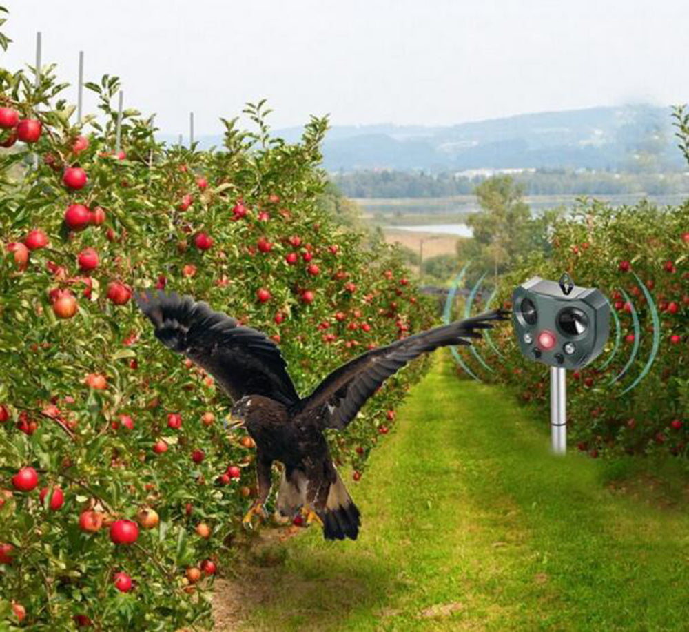 Chandni Ultrasonic Bird + Pest Repeller Solar Powered - Long Range