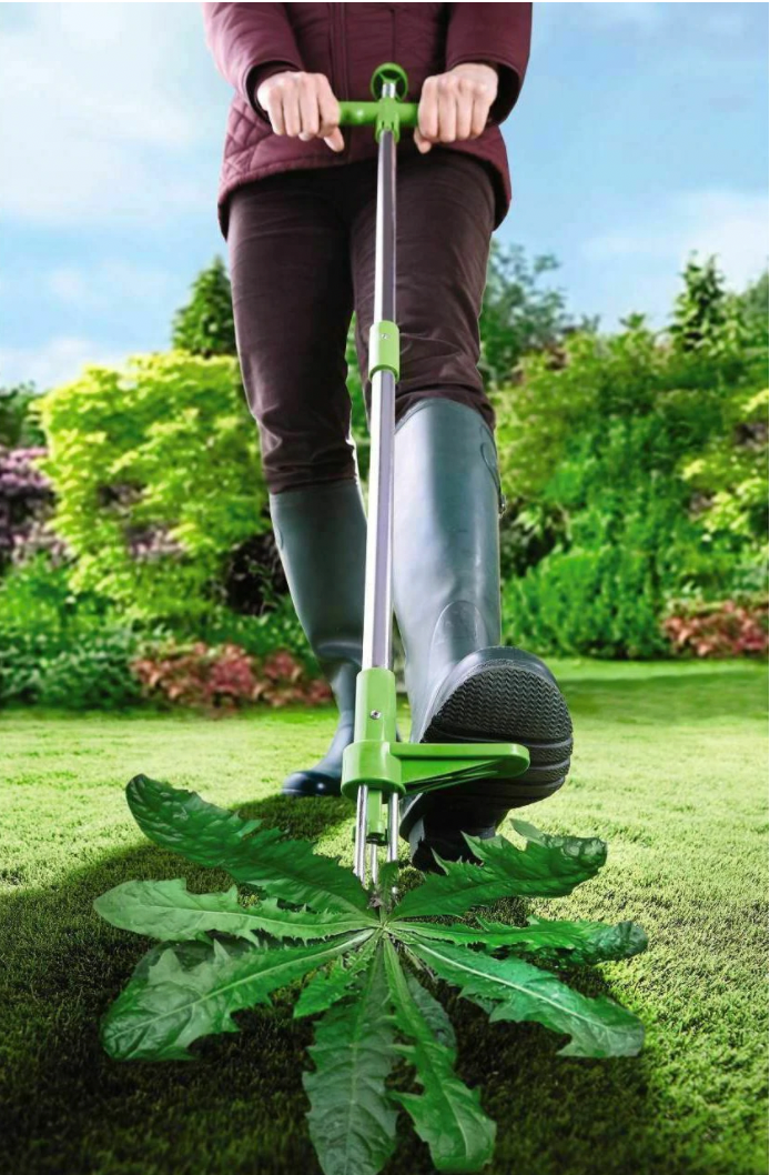 Chandni Weed Puller Tool – Long Handle Root Remover for Lawn & Garden
