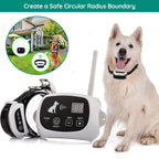 Chandni Wireless Dog Fence With Collar