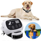 Chandni Wireless Dog Fence With Collar