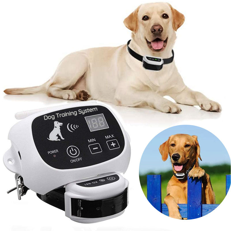 Chandni Wireless Dog Fence With Collar