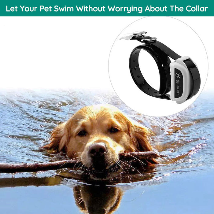 Chandni Wireless Dog Fence With Collar