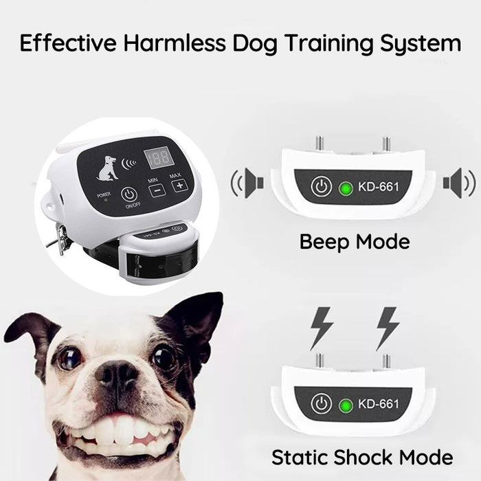Chandni Wireless Dog Fence With Collar