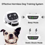 Chandni Wireless Dog Fence With Collar
