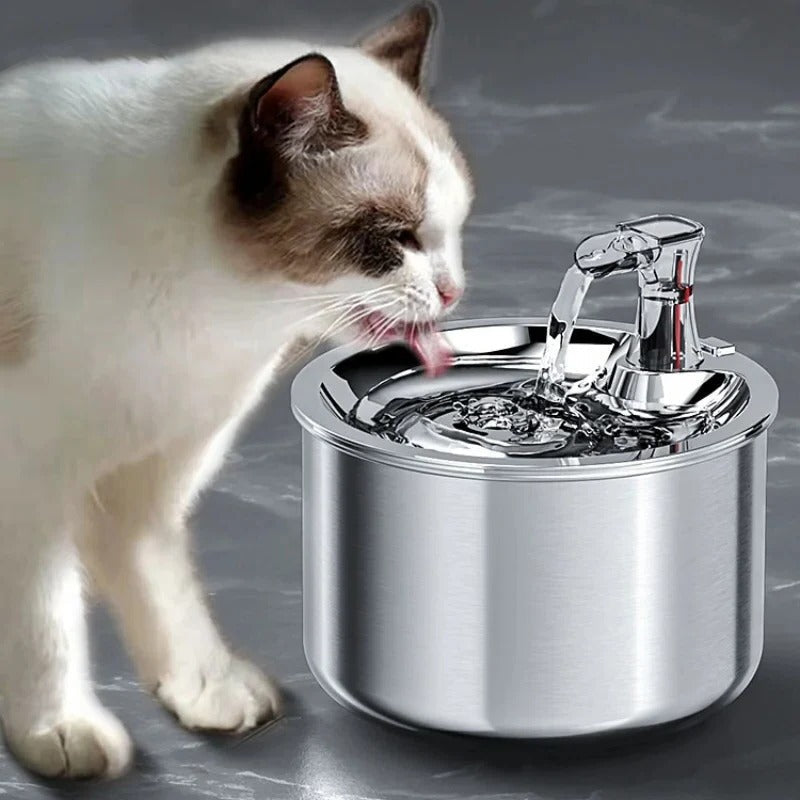 Chandni Stainless Steel Cat Water Fountain with Filter and Sensor