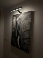 Chandni Wireless Rechargeable LED Wall Light for Artwork and Decor