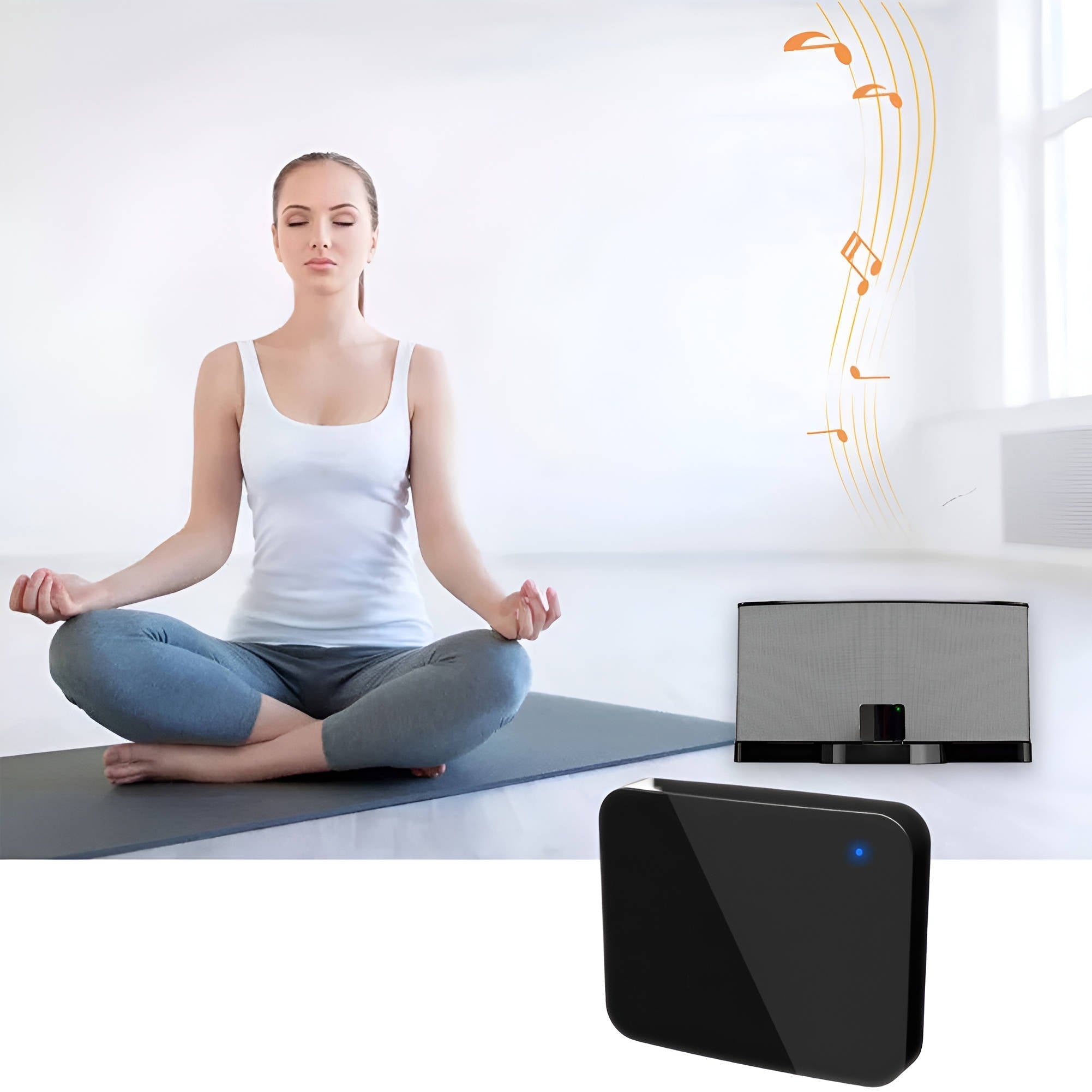 Chandni Wireless Audio Transmitter And Receiver System