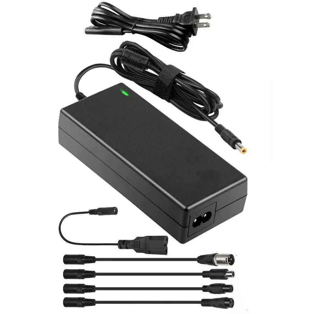 Chandni Universal Electric Bicycle Charger