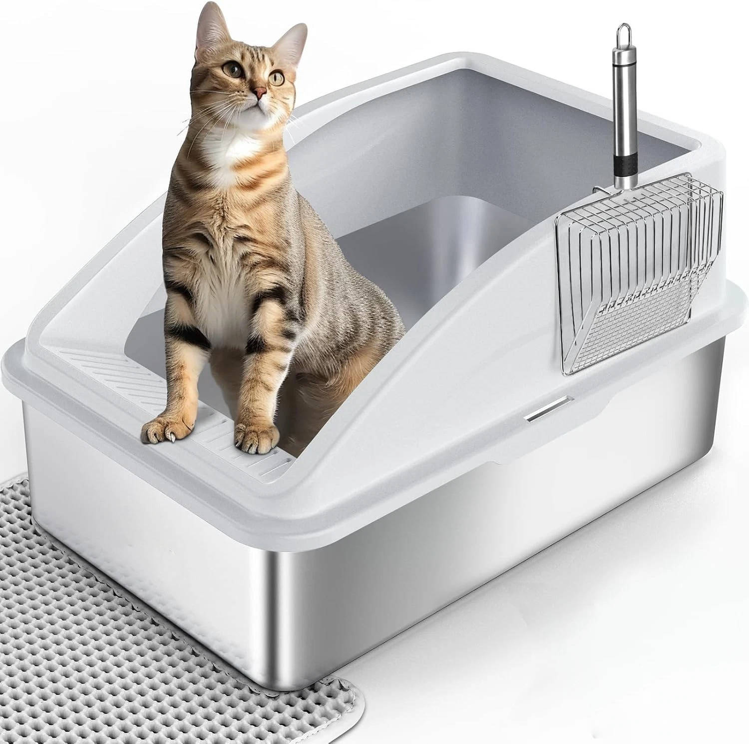 Chandni Stainless Steel Cat Litter Box, L Enclosed With Lid, Metal Scoop, Mat Included