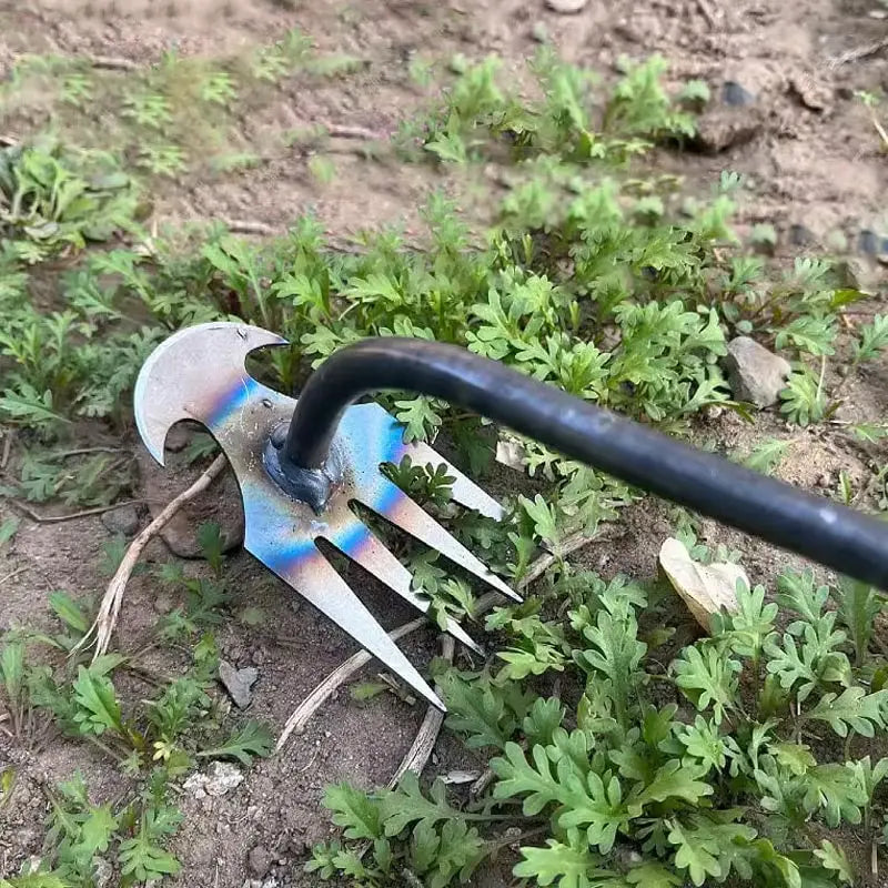 Chandni WeedMaster™ - Your Ultimate Weeding Tool