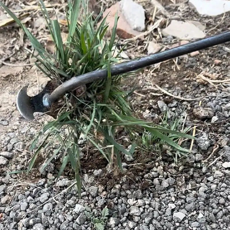 Chandni WeedMaster™ - Your Ultimate Weeding Tool