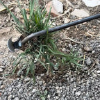 Chandni WeedMaster™ - Your Ultimate Weeding Tool