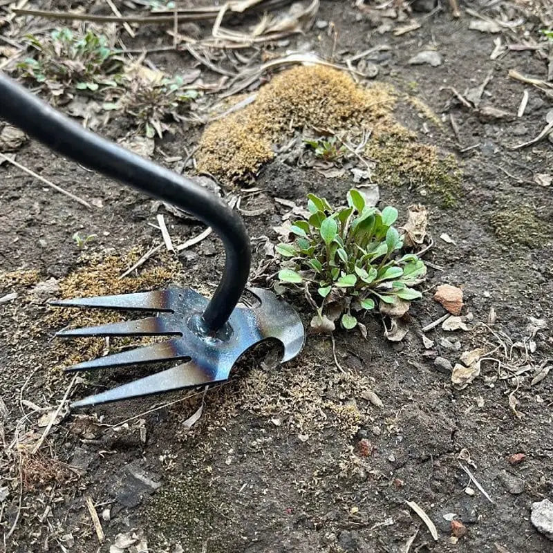 Chandni WeedMaster™ - Your Ultimate Weeding Tool