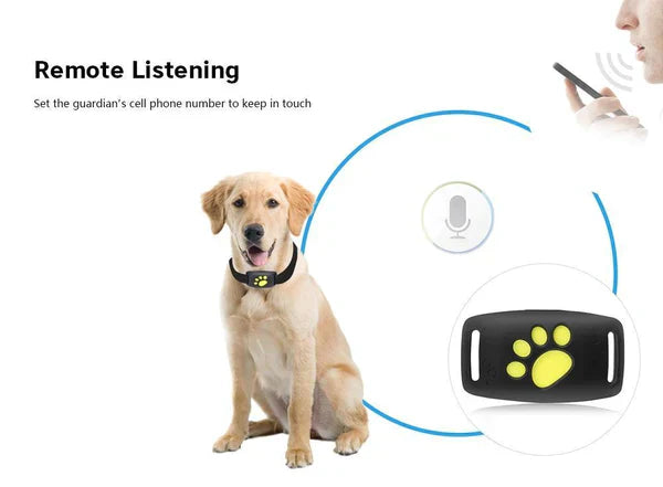 Chandni 🐾 Dog GPS Tracker Locator Device – Real-Time Pet Tracking with No Monthly Fees