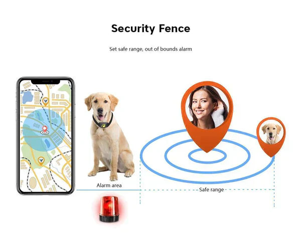 Chandni 🐾 Dog GPS Tracker Locator Device – Real-Time Pet Tracking with No Monthly Fees